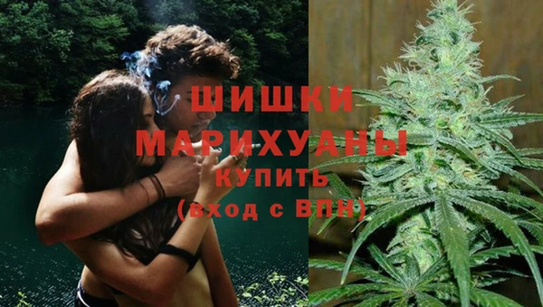 Альфа ПВП Няндома
