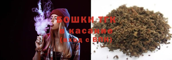 Альфа ПВП Няндома