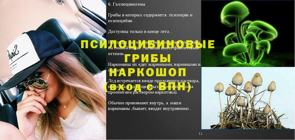 сатива Новодвинск