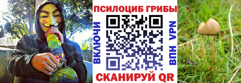 Галлюциногенные грибы Psilocybe Приволжский