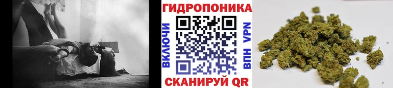 Марихуана LSD WEED  купить наркоту  Приволжский 
